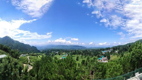 Palampur: A Must-Visit For Artistic Souls And Gastronomes